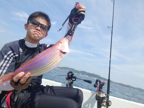 ソコイトヨリの釣果