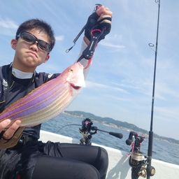 ソコイトヨリ