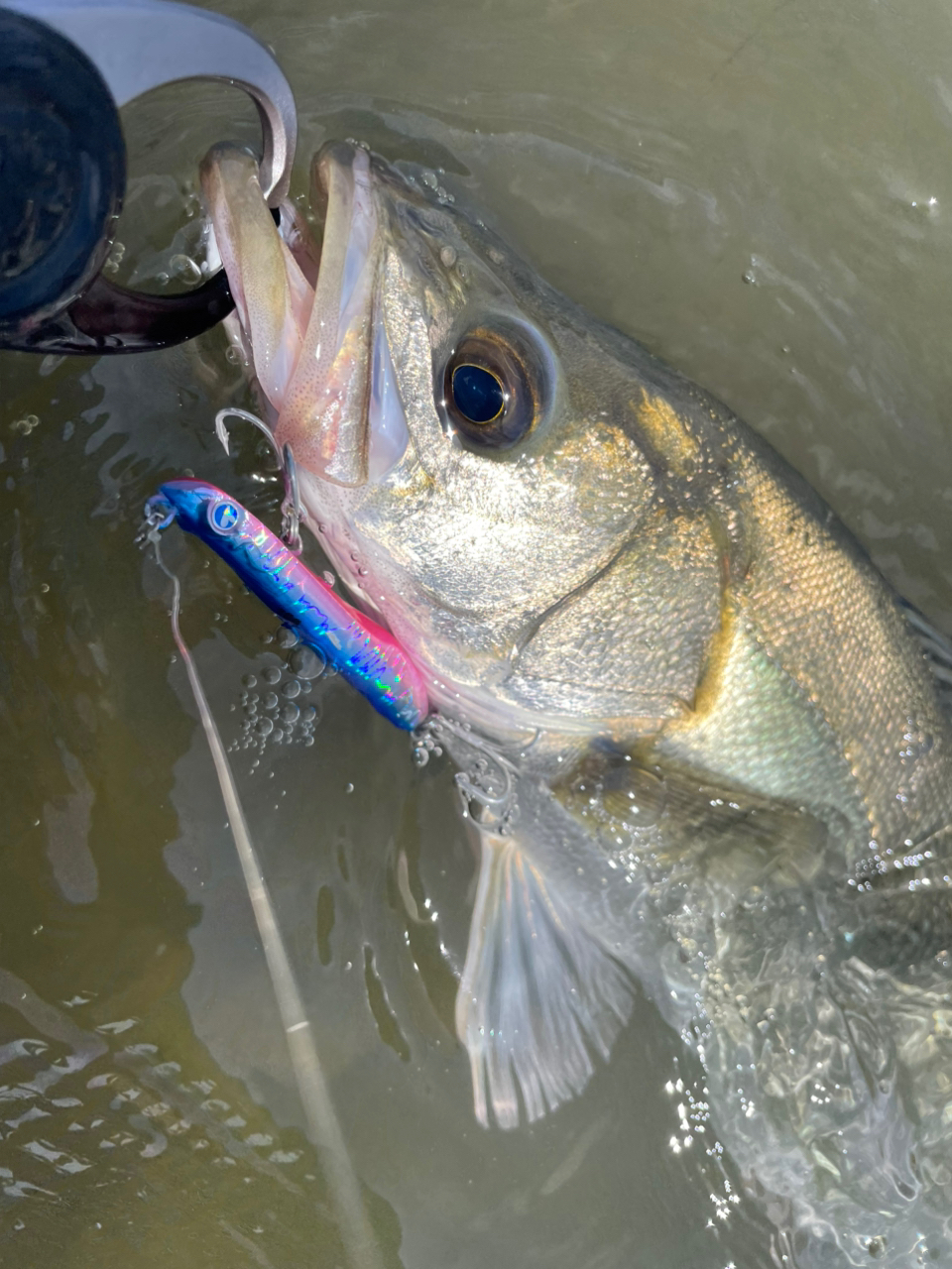 SHIMANO 23ヴァンキッシュ C3000MHGの最安値・インプレ・釣果