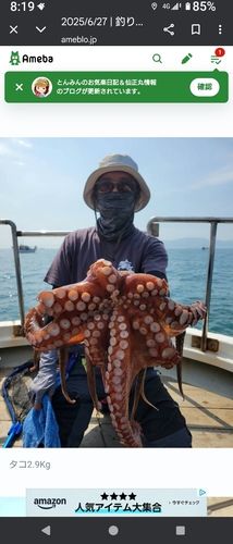 タコの釣果