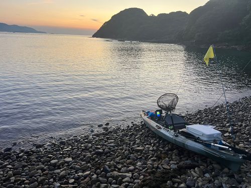 アカハタの釣果