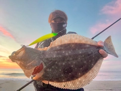 ヒラメの釣果