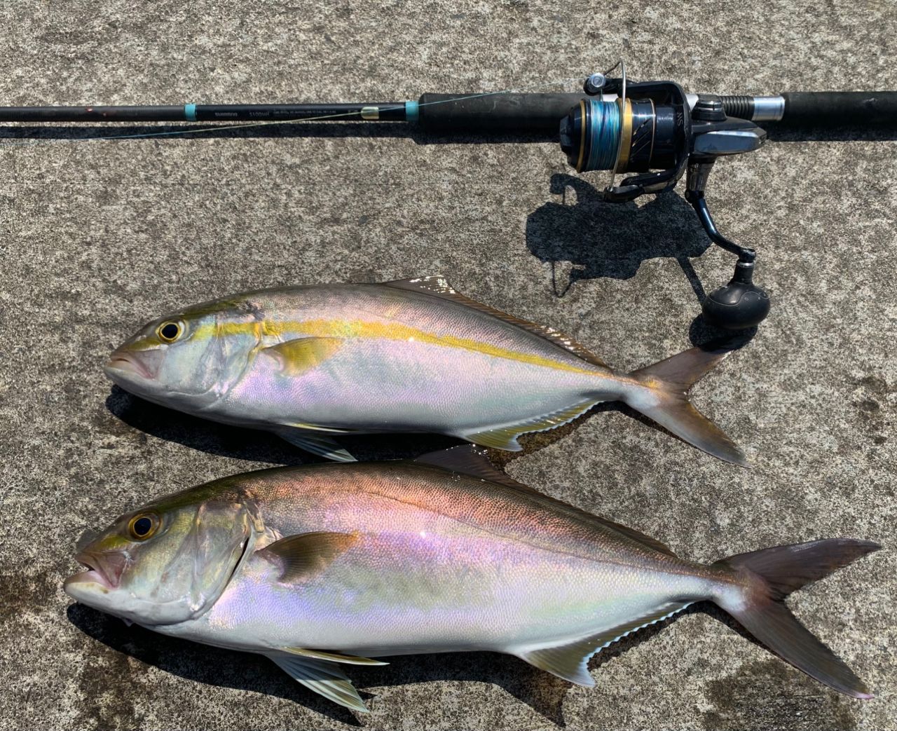 シマノスピニング23 ルアーマチック S100MH ソルトルアー推奨モデル シマノ(SHIMANO) 23 ルアーマチックソルト S100MH(スピニング・2