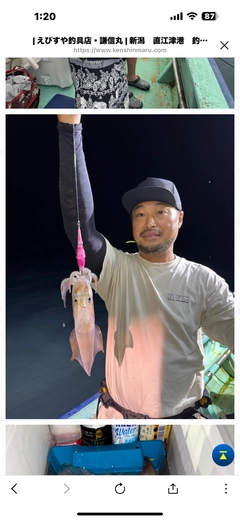 アカイカの釣果