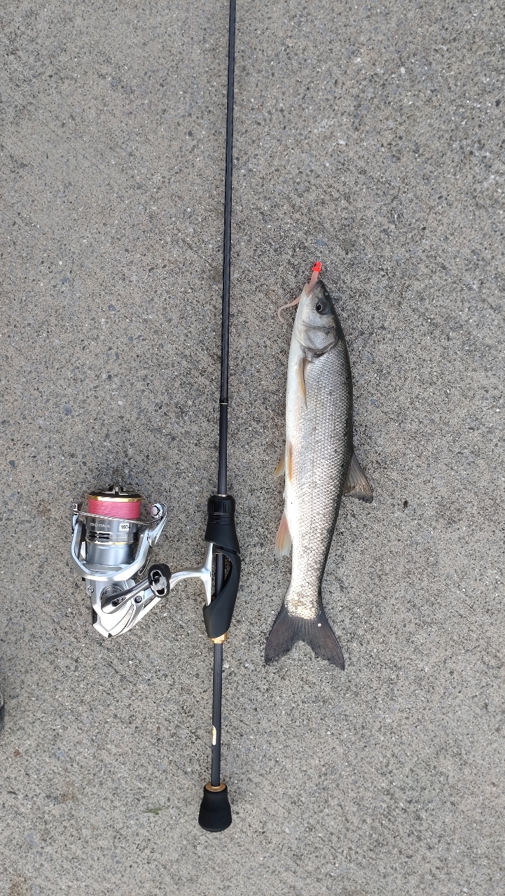 SHIMANO 22ソアレ SS アジング S58UL-Sの最安値・インプレ・釣果