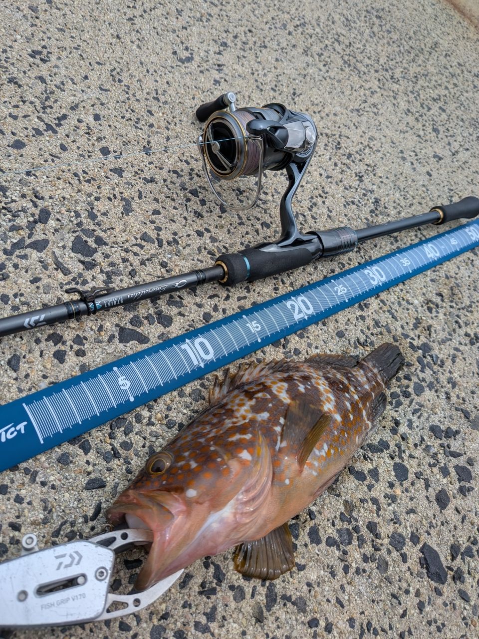 DAIWA 23エメラルダス ストイスト ST（アウトガイドモデル