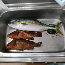 イナダ