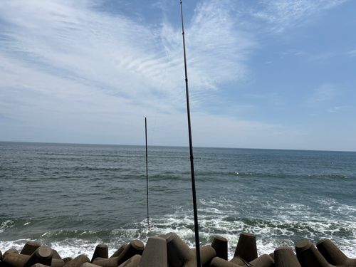 釣果