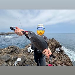 アカハタ