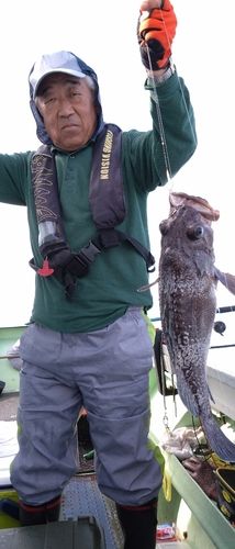 スルメイカの釣果