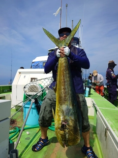 シイラの釣果