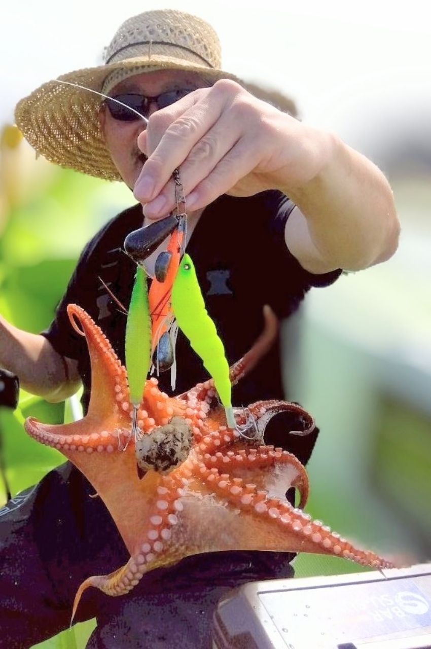 釣り船西野屋さんの釣果 3枚目の画像