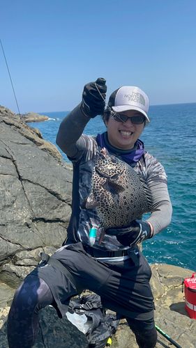 イシガキダイの釣果
