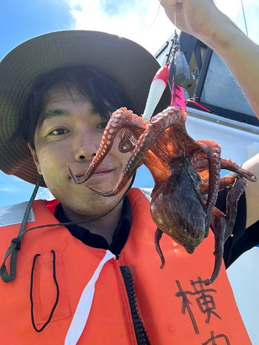マダコの釣果