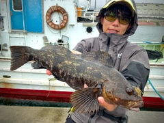 アイナメの釣果