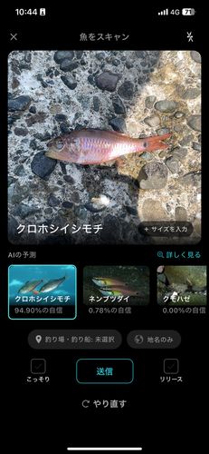 釣果