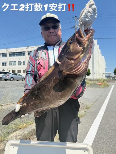 クエの釣果