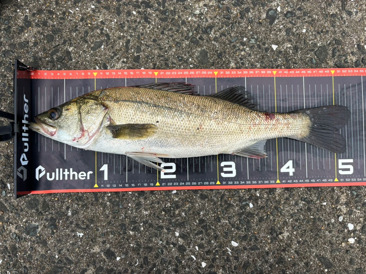 DAIWA 21ラブラックス AGS 93MLの最安値・インプレ・釣果 | 本音