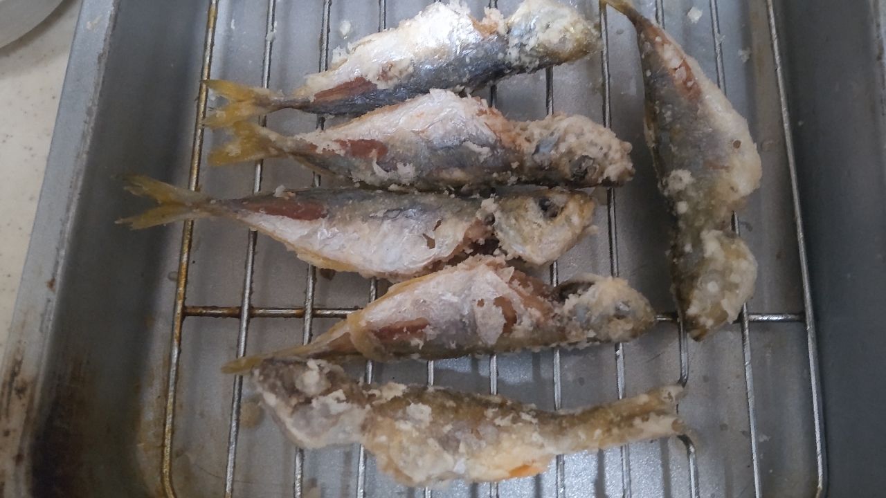 カマス