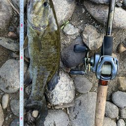 スモールマウスバス