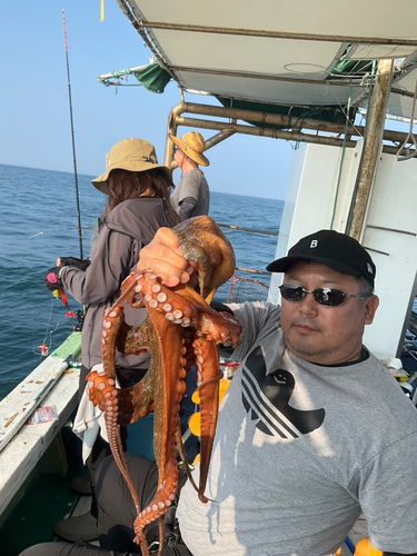 タコの釣果
