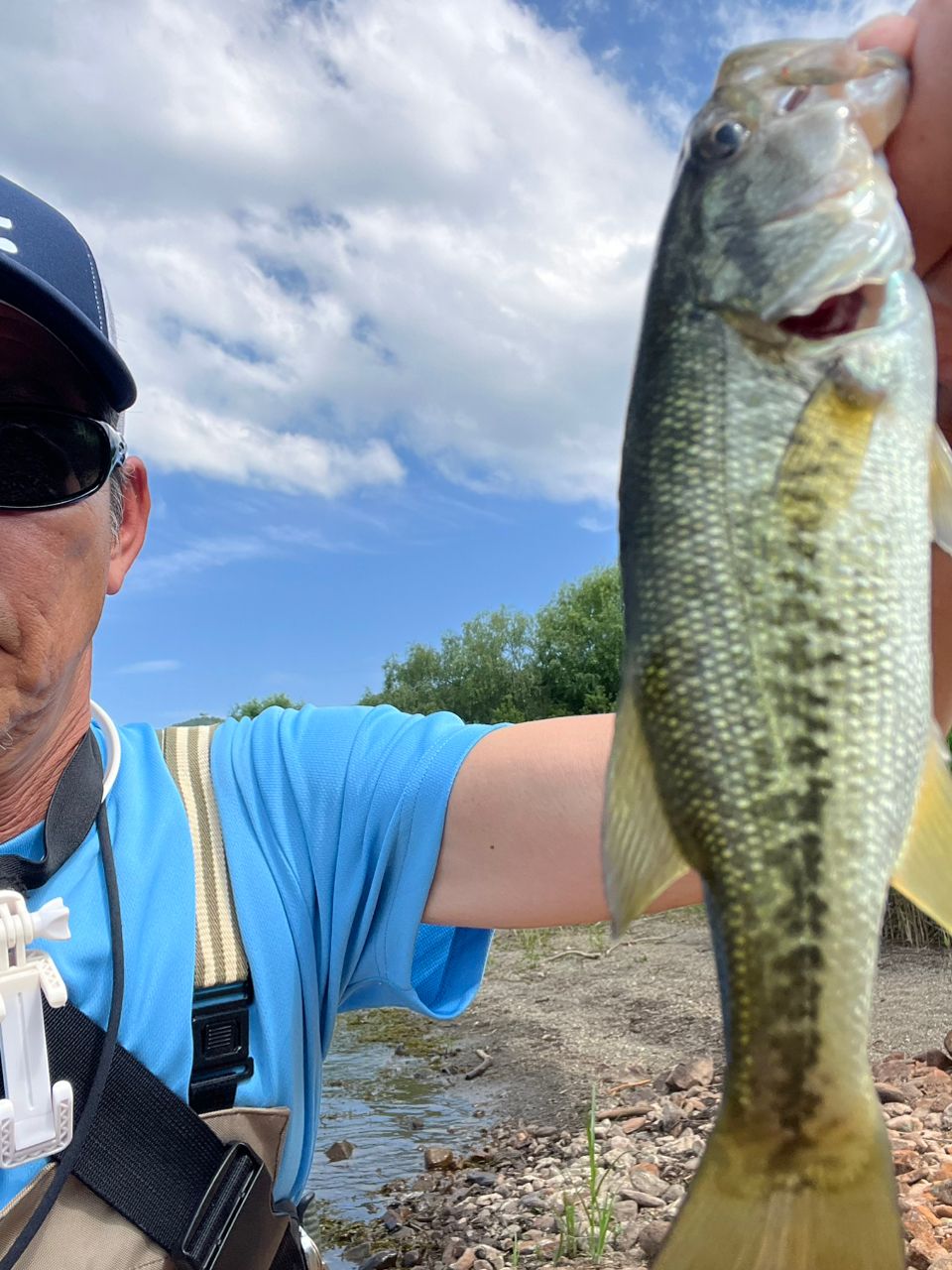 ラージマウスバス