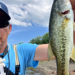 ラージマウスバス