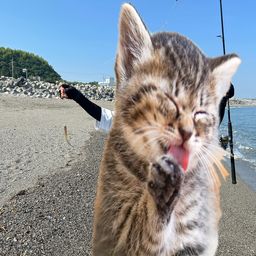 キス