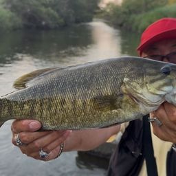 スモールマウスバス
