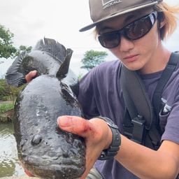 ライギョ