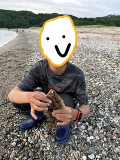 ソゲの釣果