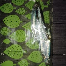 ウルメイワシ