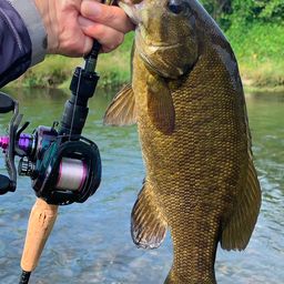 スモールマウスバス