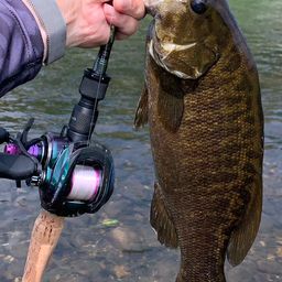 スモールマウスバス