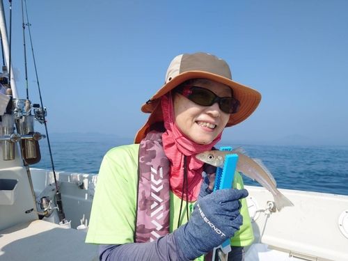 キスの釣果