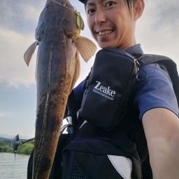 マゴチ