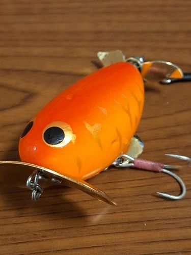 マナマズの釣果