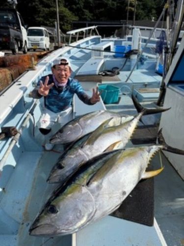 キハダマグロの釣果