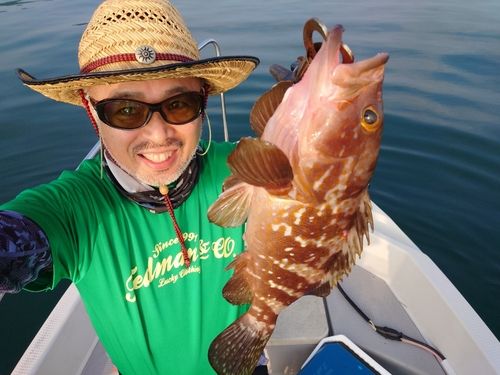 アコウダイの釣果