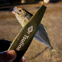アジ
