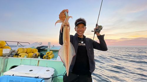 ヤリイカの釣果