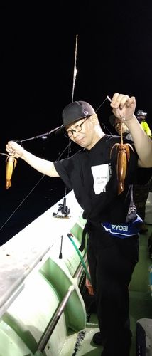 スルメイカの釣果