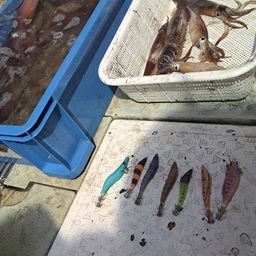 シロイカ