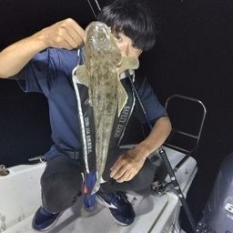 マゴチ
