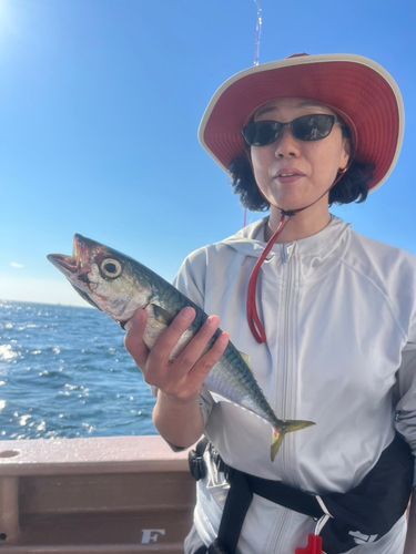 サバの釣果