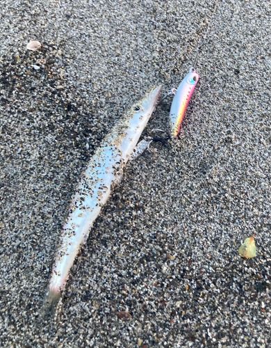 釣果