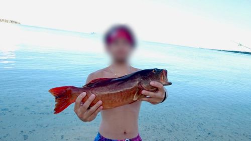アカジンミーバイの釣果