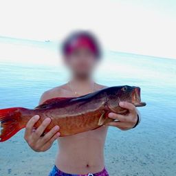 アカジンミーバイ