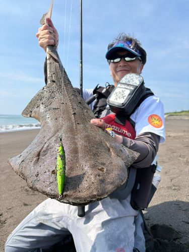 カスザメの釣果