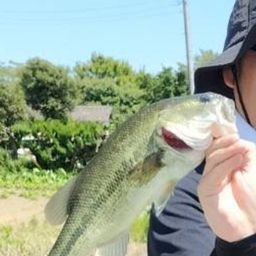 ラージマウスバス